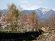 当館前の景色。日本名水１００選の湧水から流れる川があり、その奥に八ヶ岳が聳えています。